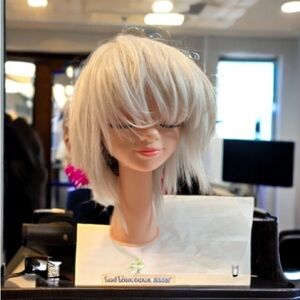 ASSIST Basic Gray Bob Wig with Bang Style ASB-PS01 Full Cap Cosmic Synthetic Wig